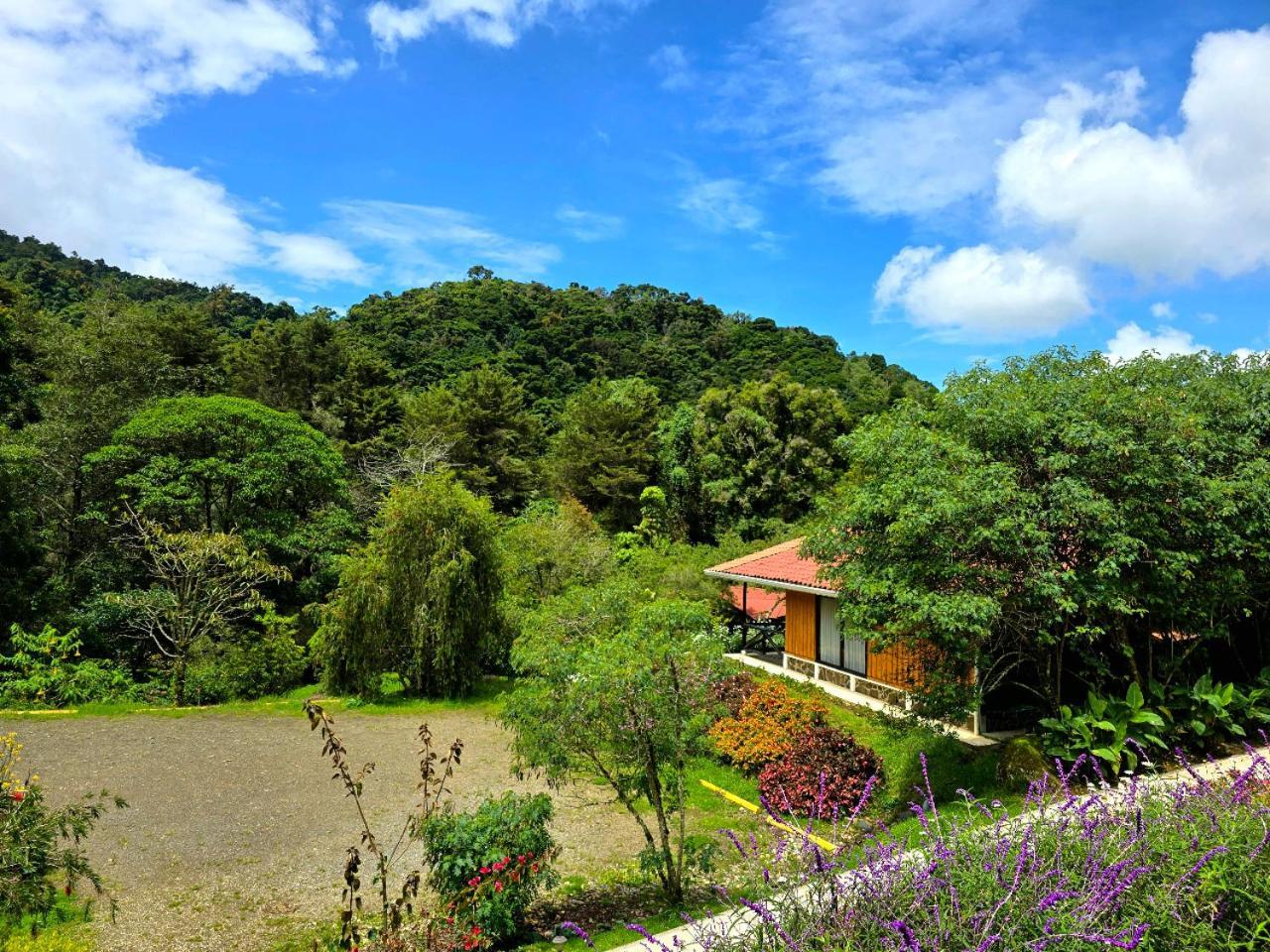 Hotel de Montaña Suria San Gerardo de Dota Habitación foto